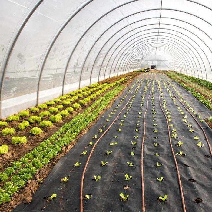 Agricultural Solutions