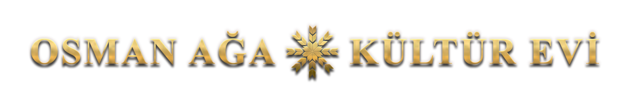 Reference logo 11